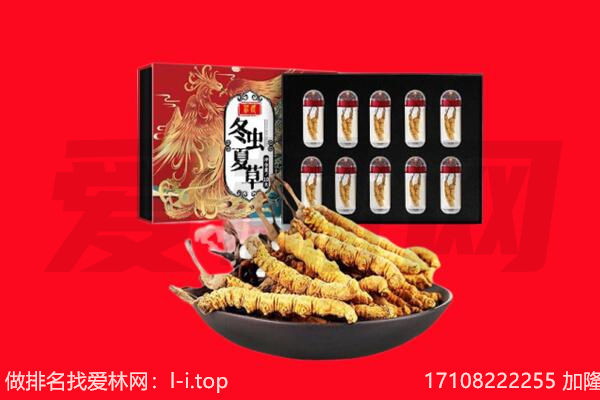 巴音郭楞回收虫草.jpg